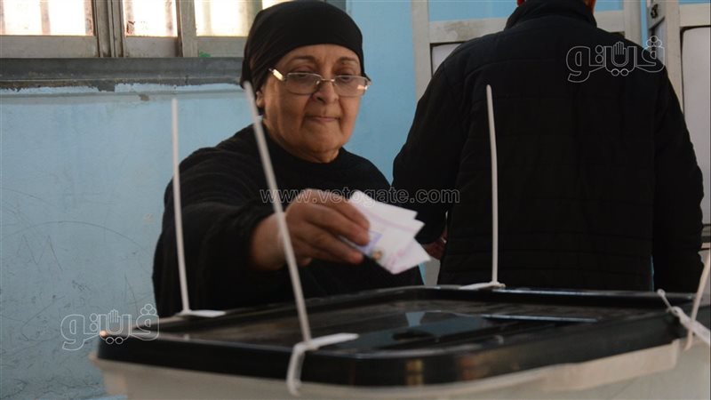 انتخابات مجلس الدولة