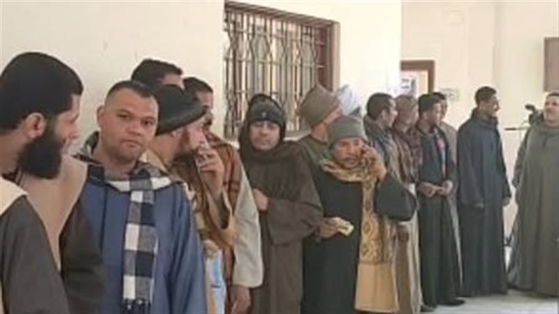 التصويت فى سوهاج،فيتو