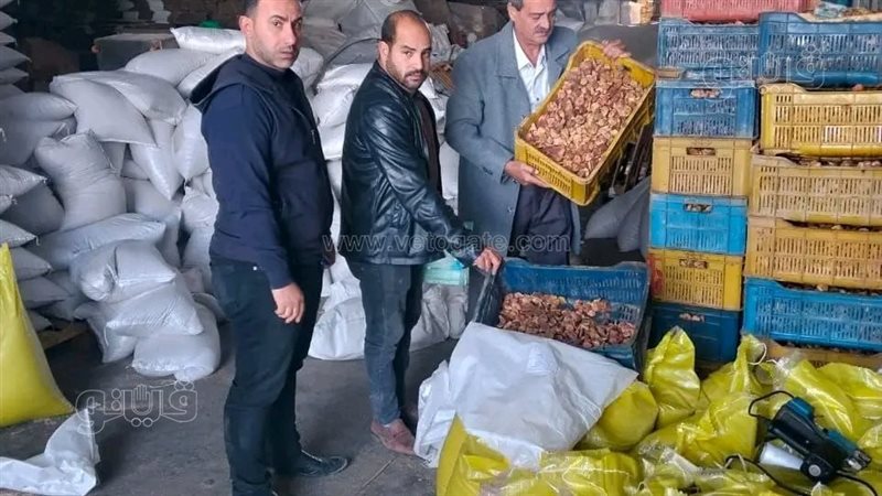 تموين الشرقية