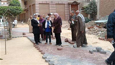 تطوير المناطق غير المخططة بمدينة بلقاس بتكلفة 130 مليون جنيه (صور)