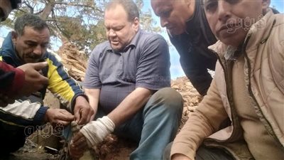 بعد أسبوع من القلق والفزع، اصطياد تمساح الزوامل بالشرقية (صور)