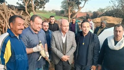 طوله 85 سم واستغرق 7 أيام لاصطياده، تفاصيل انتهاء أزمة تمساح الزوامل (صور)