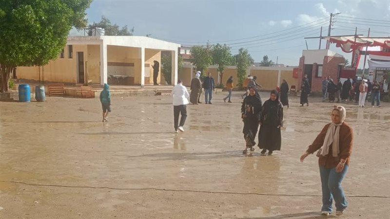 أمطار، فيتو