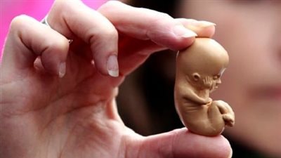 استشاري توضح علاقة الغدة الدرقية بالإجهاض المتكرر وتأخر الحمل 