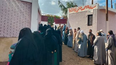 انتخابات النواب، إقبال كثيف على لجنة أحمد فتحي بالفيوم