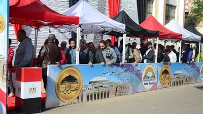 انتخابات النواب 2025، إقبال على لجنة 