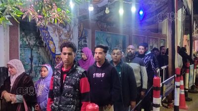 انتخابات النواب 2025، توافد الواحاتية على لجنة 