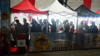 طوابير الناخبين أمام لجنة هشام شتا في الساعات الأخيرة قبل إغلاق التصويت (صور)