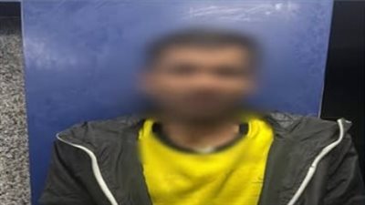 القبض على مهتز نفسيا لقيامه بالتعلق بعامود إنارة وأداء حركات استعراضية بحدائق القبة