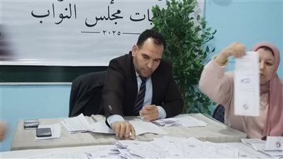 انتخابات النواب 2025، بدء فرز الأصوات بمدرسة الرحمانية بدائرة المنتزه بالإسكندرية (فيديو وصور)