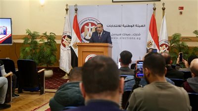 أسماء الفائزين في محافظتي الجيزة والفيوم بالدوائر الانتخابية الملغاة (فيديو)