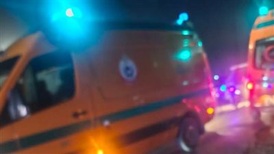 إصابة 14 شخصًا في حادث تصادم بالبحيرة