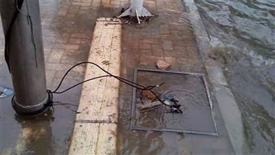 6 نصائح من الكهرباء للحماية من صعقات الكهرباء وقت سقوط الأمطار