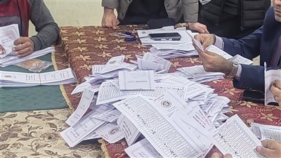 مؤشرات الحصر العددي في البدرشين، اقتراب رشاد حمزة ونادر الخبيري من الفوز وإعادة مرتقبة بين أبو غريب وأبو زيد 