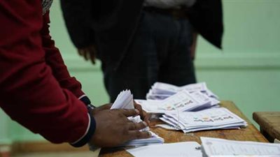 الحصر العددي لدائرة الدلنجات الملغاة بانتخابات النواب بالبحيرة