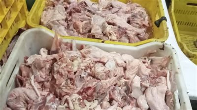 ضبط 45 طن دواجن ولحوم فاسدة ومذبوحة خارج المجازر بالجيزة 