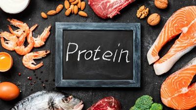 ما الفرق بين البروتين الحيواني والنباتي ولماذا يحتاجهم الجسم؟ 