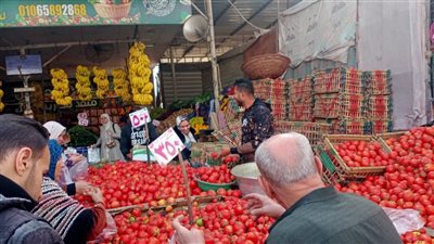 تفاصيل جولة محافظ الدقهلية المفاجئة في بلقاس