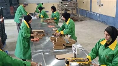 بتكلفة 13 مليون جنيه، إقامة مصانع للتمور والأكواب وتعبئة بن بالوادي الجديد 