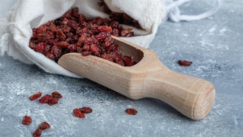 البربرين 