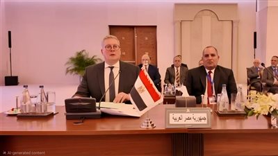 مصر تطرح 5 مبادرات جديدة لتعزيز التعاون العربي في تأمين الطاقة