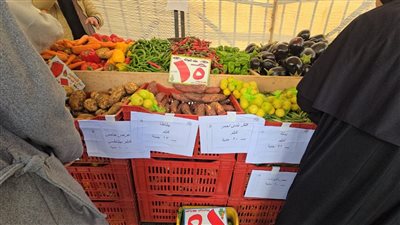 أسعار السلع الغذائية بسوق اليوم الواحد بالمرج (فيديو وصور) 