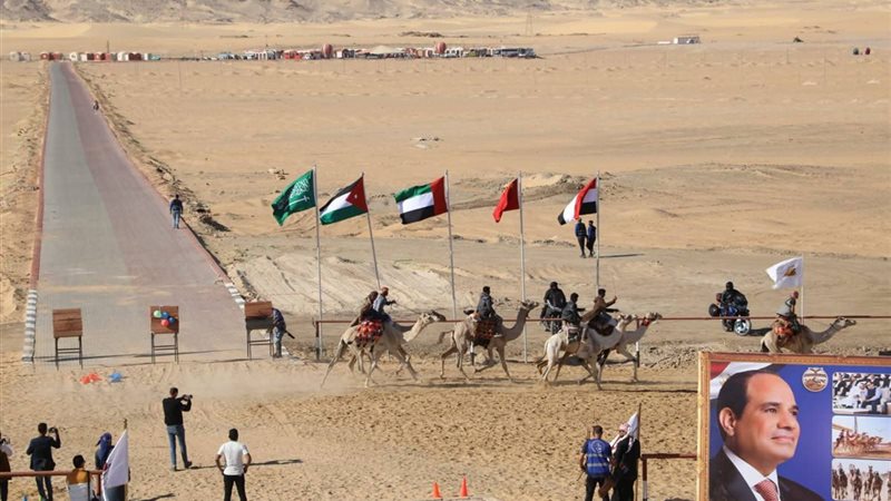 جانب من فعاليات المهرجان،