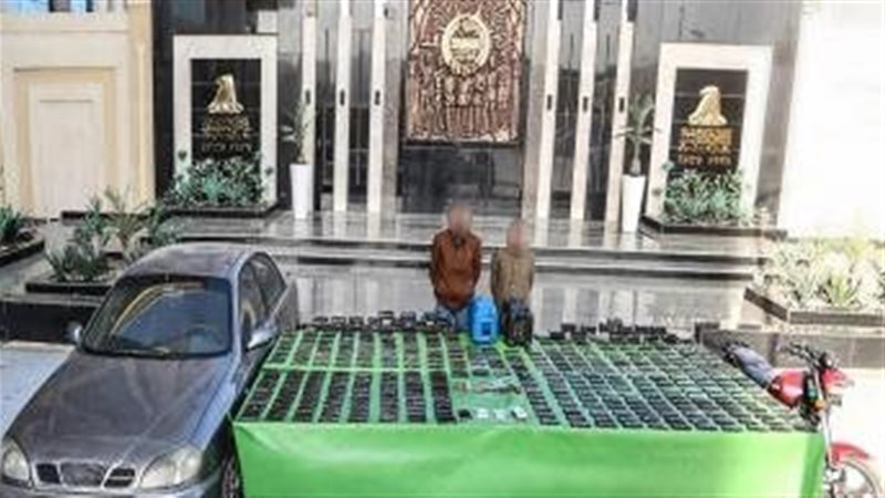 سقوط بؤر إجرامية