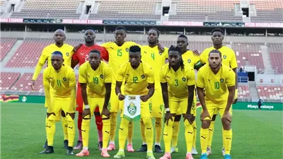 كل ما تريد معرفته عن منتخب زيمبابوي منافس مصر بأمم أفريقيا.. 