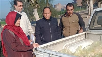 تحرير 15 محضرا في حملة على المخابز بالدقهلية 