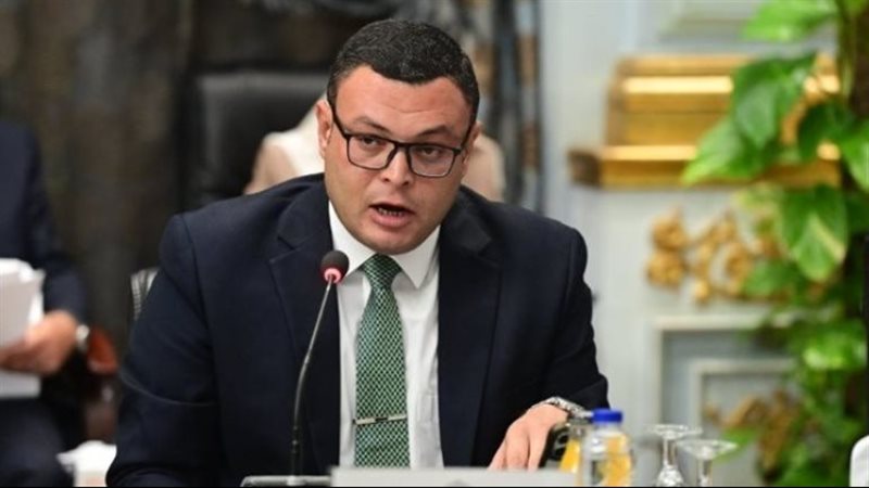 المهندس شريف الشربيني