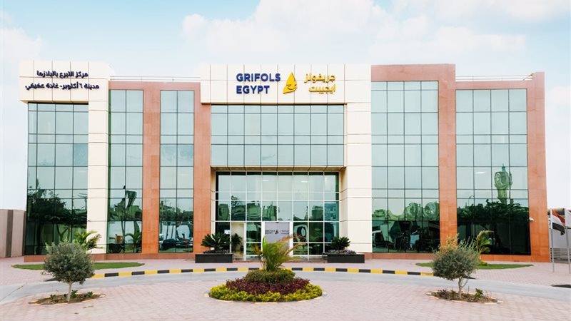 شركة جريفولز إيجيبت