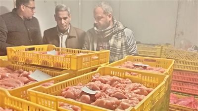 ضبط 3 أطنان دواجن فاسدة داخل مجزر غير مرخص في الغربية