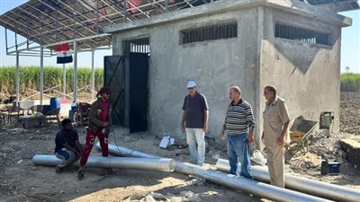 الانتهاء من تطوير الري في 600 فدان قصب بقنا 