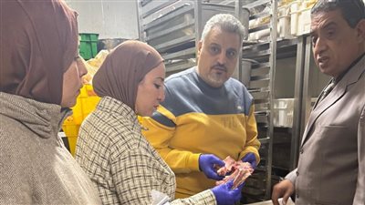 ضبط 9 أطنان و870 كجم سلع مجهولة المصدر وتحرير 90 مخالفة في حملات تموينية بالدقهلية