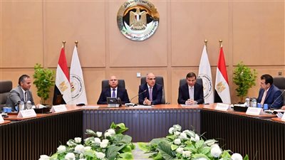 وزراء الري والزراعة والنقل يبحثون المشروعات المشتركة 