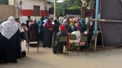 انتخابات النواب، السيدات يتصدرن المشهد الانتخابي بلجنة صنافير بقليوب (صور)