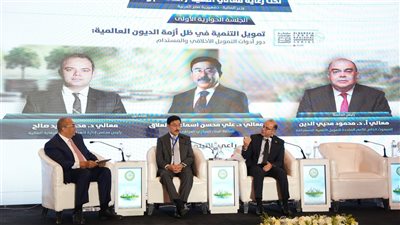 رئيس الرقابة المالية: الدول مطالبة بتحديد أين تقع مسئولية تمويل التنمية بدقة