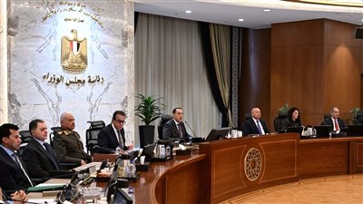 مجلس الوزراء يوجه بزيادة الاعتماد على المنتج المحلي بعد تحسن الجودة وارتفاع الكفاءة