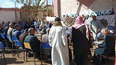 بالأسماء، إصابة ناخبين بإعياء في جولة الإعادة بانتخابات النواب بالدقهلية