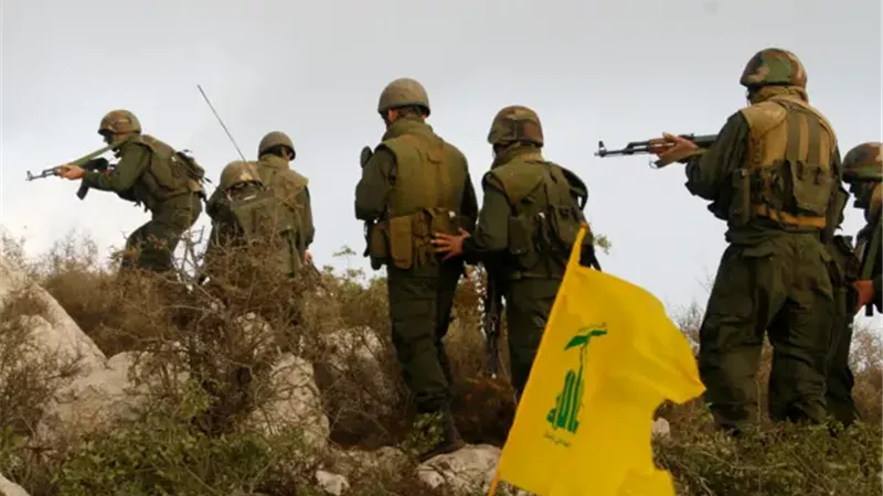 جنوب لبنان، فيتو