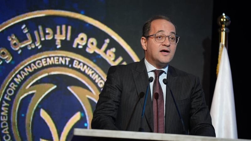 أحمد كجوك وزير المالية،