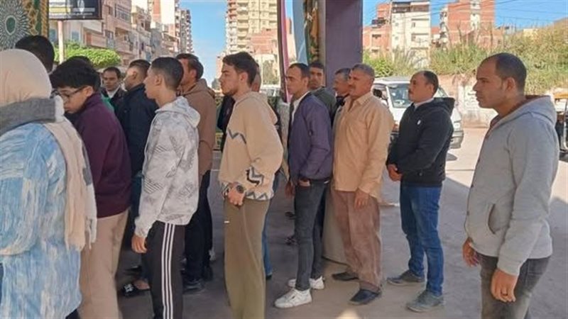 لجان دمياط، فيتو