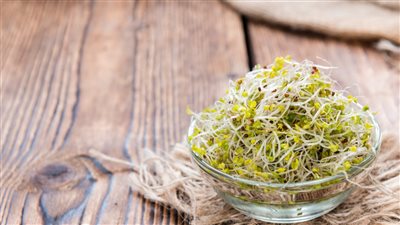 فوائد براعم البروكلي، تقوي المناعة وتنظم الهضم وتحمي من السرطان 