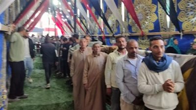 تنسيقية الأحزاب: حضور كثيف للمشاركة في جولة الإعادة بانتخابات مجلس النواب بشبين القناطر 