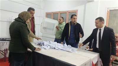 انتخابات النواب 2025، الحصر العددي بلجنة 11 بمعهد فاطمة شعيب بكفر ديرب بقطارس بالدقهلية