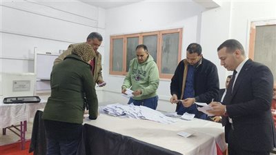 انتخابات النواب 2025، ننشر الحصر العددي للجنة الفرعية 76 بمدينة محل الدمنة بالمنصورة