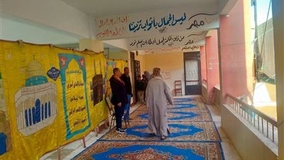 النتائج المبدئية للحصر العددي لأصوات الناخبين في جولة الإعادة بدوائر كفر الشيخ الأربعة