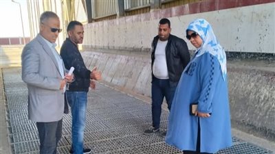 تموين الوادي الجديد: تحرير 156 مخالفة خلال 27 حملة تموينية