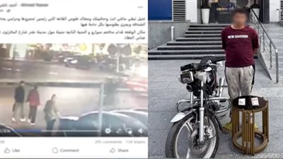 القبض على عامل خطف حقيبة موظف أثناء سيره في الشارع بمدينة نصر (فيديو)
